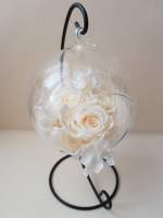 Стабилизированная роза в стеклянном шаре
